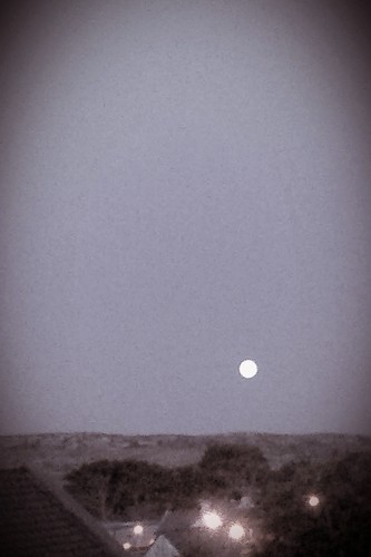 annapogin's profile picture. 