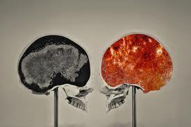 BastaconXombie's profile picture. El único y original #bastatuiteroconXombie, ahora con 10% más SPAM