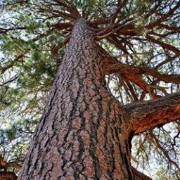 dgeer2's profile picture. 