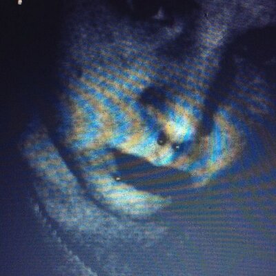 Profile Picture of Ryan Aupperlee (@death_by_plague) on Twitter