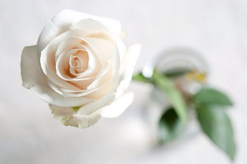 لاإله إلاالله ♡