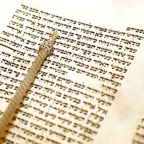 GanEden26's profile picture. Aime ton prochain comme toi même.