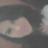 monyque_araujo's profile image