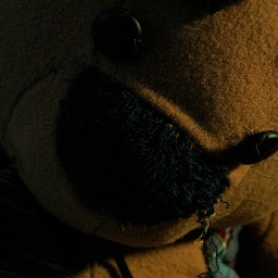 Bear of great taste and insight.  Lover of foreign movies and fine cigars