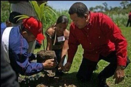 Rumbo al Socialismo