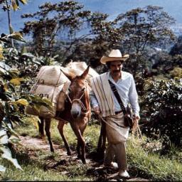 encarnaciopajul's profile picture. Pata en el suelo,trabajador del campo amante de la Patria,combatiente de los especuladores y corruptos,mi mejor amigo el Burro.