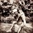 Marianarvcortes's profile image