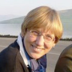 International Education Consultant