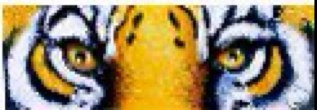 SmsSch Profile Picture