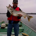 Duncan A. Campbell (@dunlou) Twitter profile photo