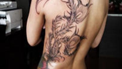 anugrah putra Profile