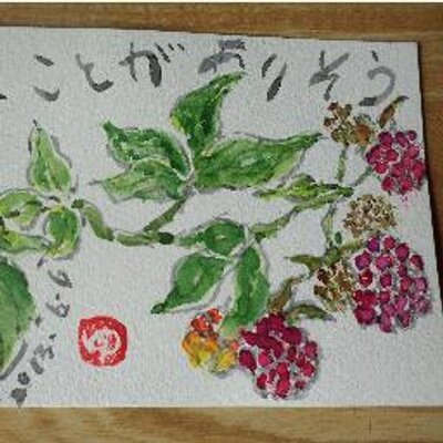 Tibayuu62 ジュズサンゴ 数珠珊瑚 花言葉 ひたむきな姿勢 移り気 白い小花が咲き終わると丸い実となり赤く色づきました 植物の実が色づく様子は見ていて嬉しいもの 葉っぱの紅葉は後の楽しみとしておきましょう