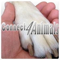 Official Twitter page of Connect4Animals - Supporting specific animal protection initiatives through strategic cross-sectoral partnerships | retweet≠endorsement