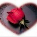 لحظة أمل (@ali400200) Twitter profile photo لحظة أمل (@ali400200) Twitter profile photo