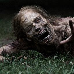 AMO THE WALKING DEAD