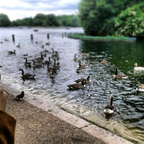 _ro5141's profile picture. 