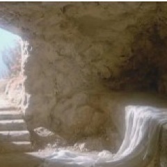 FakeSpike94's profile picture. 