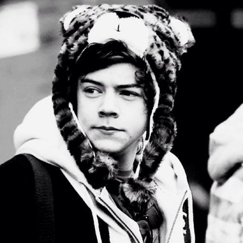 Hey im harry ... 3.14 is pi .My favorite animal the panda is endangered .. And i am taken by lou .. Sorry im a nerd With him but im cause still wondered why