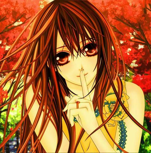 Pure Blood Vampire Princess • @RanKaname_'s Fiance, his mine! DON'T TOUCH MY CARROT!! • My Brother @FreeHarukaN