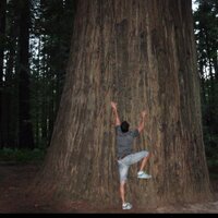 bc (@mathmatikal) 's Twitter Profile