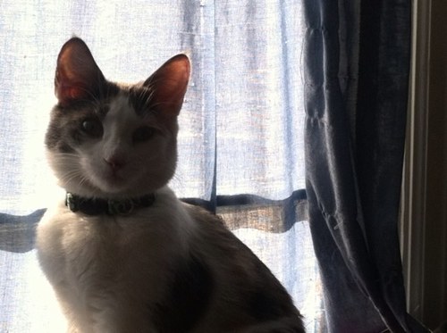 emily_thill's profile picture. 