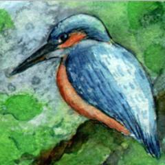 painter, animator, comic writer, watercolor, aceo, atc, paint everything, Etsy & eBay seller, http://t.co/LMIxa5mhX0, http://t.co/2fNlDshtfH