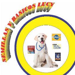 davidlopezgallo's profile picture. 