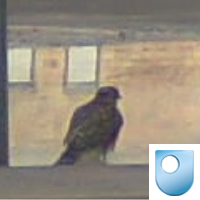 Mariacanti's profile picture. 