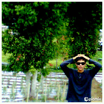 Niki_Retno's profile picture. 