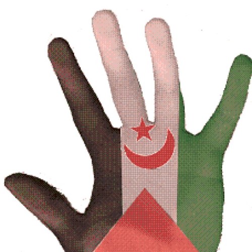 Con nuestra asociación damos soporte al sufrimiento del pueblo saharaui | Offering #support to the #Saharawi people #Sahara #ONG