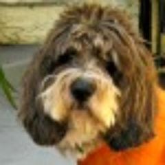 Great fun vintage items for men, women, teens, kids, home, cool finds. I love my shop and my customers!  Unique gifts items, convo me I may be able to discount.