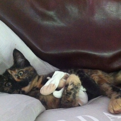 wilmavlastuin's profile picture. 