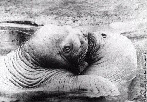 yalarca's profile picture. 