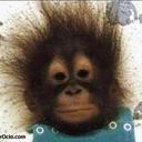 jaime rico - @ricoricojames - Twitter