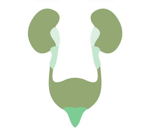 ProstatKanseri's profile picture. Hifu yöntemi olan ultrason tedavisi ile neştersiz ameliyat konforu sunar.  Yüksek Yoğunluklu Fokal Ultrason ile  Prostat Kanseri Tedavisihttps://si0.twimg.com/p