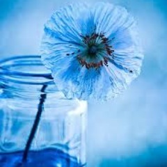 My_GrowthTravel's profile picture. Self Help Junkie, Traveller, lover of all things spiritual