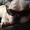 Mark Flint - @MarkFlint11 - Twitter