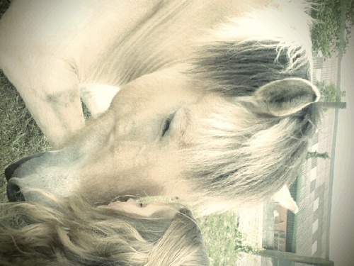 hou super veel van jou ♥
