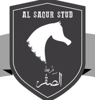 Arabian Nights & Resorts
Wine contry Horse back riding & falcon school , arabian horse show ..