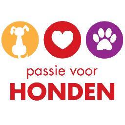 SanvanDoorn's profile picture. Coachen met honden - speurtraining - workshops - College week -