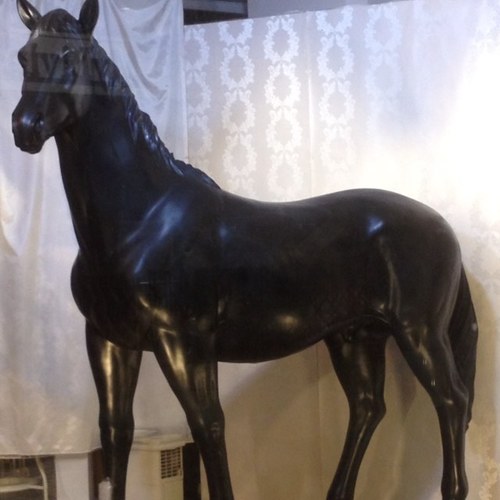 ariennty's profile picture. fx に興味津々。