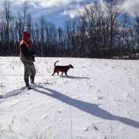 Ranger Brwn (@asksampson) 's Twitter Profile