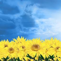 WS_GA's profile picture. West Sussex Governors' Association reaching out to the school governors of the county, aiming to share best practice in an uncertain period for education.