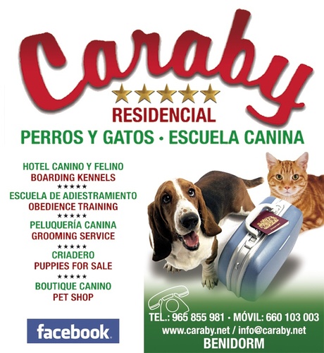 Residencia canina & felina.
Peluquería 
Escuela de adiestramiento. 
Venta de Pastores alemanes de élite