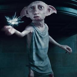 Call me stupid, dumb, idiotic, useless, relentless, annoying and careless but never a Muggle.