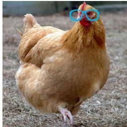 UbertGastro's profile picture. Wir lieben Hühner