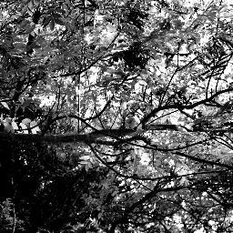 EPQOfficialfilm's profile picture. Official Twitter for upcoming slasher film: Scared to Death. Follow for updates. Director: Alice Manterfield Writer: Amelia Goadby Promotion: India Pearce