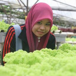 wardatularrija's profile picture. Cita dan Cintaku bukan mimpi di siang hari