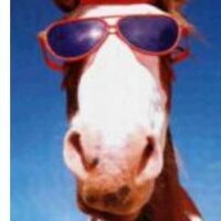 dubbledee (@placepunter) 's Twitter Profile Photo dubbledee (@placepunter) 's Twitter Profile Photo
