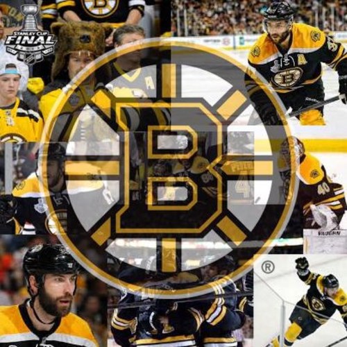 Bruins fans 
Love the bruins
2011 stanley cup champions
2013 eastern conference champions